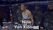 Mixed Martial Arts Sport GIF by UFC