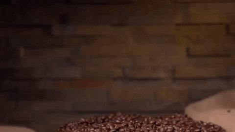 deathwishcoffee giphygifmaker coffee coffee beans coffeebeans GIF