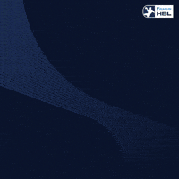 Handball Berlin GIF by DAIKIN HBL