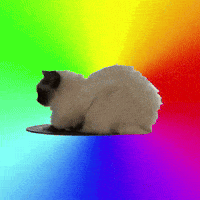 Feinfein2014 GIF