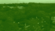 Golfing Putt Putt GIF by Rooster Teeth