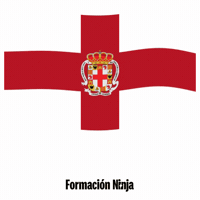 Flag Spain GIF by Formación Ninja