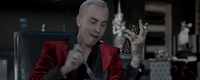 Ultra Music Idwk GIF by Ultra Records