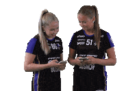 Floorball Salibandy Sticker by F-liiga