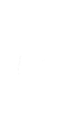 Champagne Bottle Sticker by Pretty Whiskey / Alex Sautter