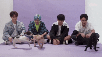 SEVENTEEN Plays with Puppies