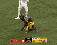 Celebration GIF
