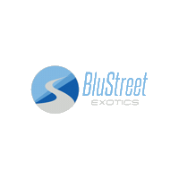Exotic Car Sticker by BluStreet
