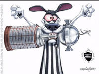 Libertadores Bfr GIF