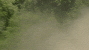 redbullracing france f1 2019 motorsport GIF