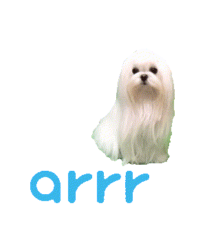 아르르 Sticker by arrr_official