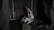 Rebecca Black Vape GIF by Database數據