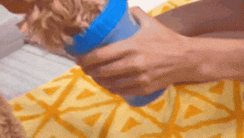 LKPM giphygifmaker GIF