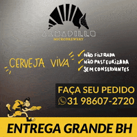 armadillobrewery armadillo GIF