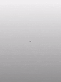 Argentina Braford GIF by ABA