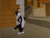 Tweety Bird Oops GIF by Looney Tunes