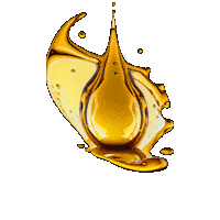 Elf_lubricants legend passion elf premium Sticker