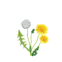 imagine if broken heart Sticker by gnash