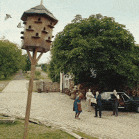 Chaos Pozor GIF by Fio banka