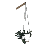 loopliving plant hanging plant loop living Sticker