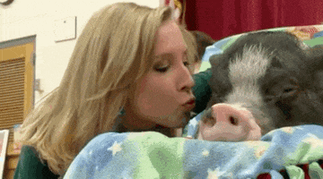 shooting alison parker GIF
