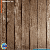 GIF by Viral Amplifier