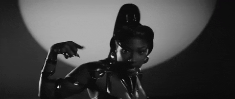 Cobra GIF by Megan Thee Stallion