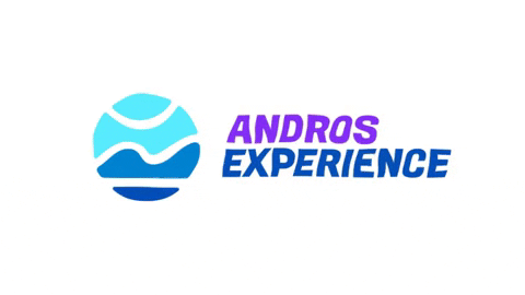 swimmingclub giphygifmaker swimming experience andros GIF