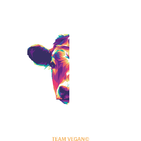 teamvegan equal teamvegan notthesame Sticker