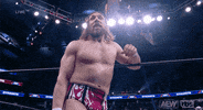 Bryan Danielson Wrestling GIF by AEWonTV