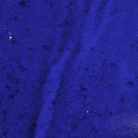 GIF by Kentucky Men’s Basketball. #TGT -