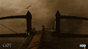 season 7 hbo GIF by Game of Thrones