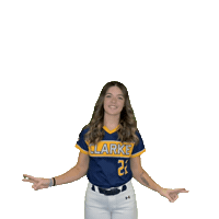 Clarke Softball Sticker by Clarke University