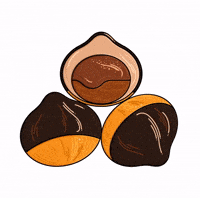 Patisserie Marron GIF by Cedric Grolet