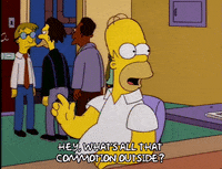 homer simpson GIF