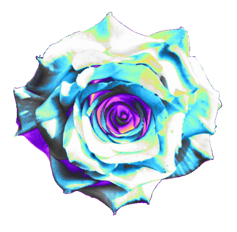 Rainbow Flower Sticker