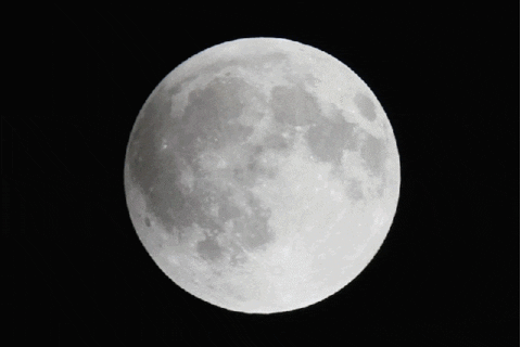 Lunar Eclipse Photography GIF by Photojojo