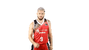 Liga Endesa Basketball Sticker by ACB