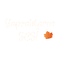 Mnkssonbahar Sticker