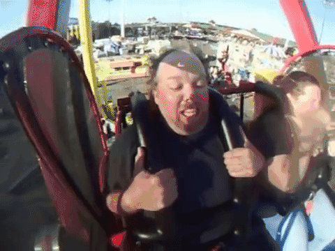 roller coaster GIF