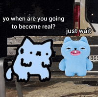Spainnubcat GIF