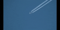 Fly Flying GIF by DIIMSA Stock