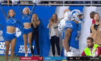 Detroit Lions Football GIF by NFL
