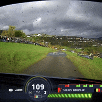 Driving Drive By GIF by FIA World Rally Championship