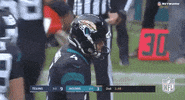 2019 Regular Season Football GIF by NFL