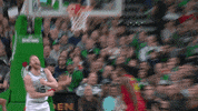 celebrate boston celtics GIF by NBA