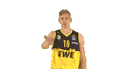 Ewe Baskets Basketball Sticker by EWE Baskets Oldenburg