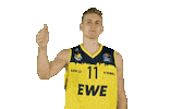 Ewe Baskets Basketball Sticker by EWE Baskets Oldenburg