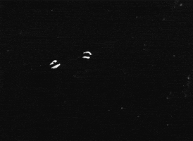 joy division matthias brown GIF by TraceLoops