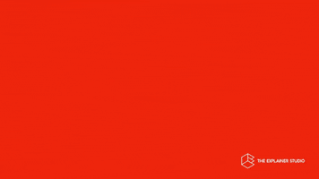 Wine GIF by The Explainer Studio
